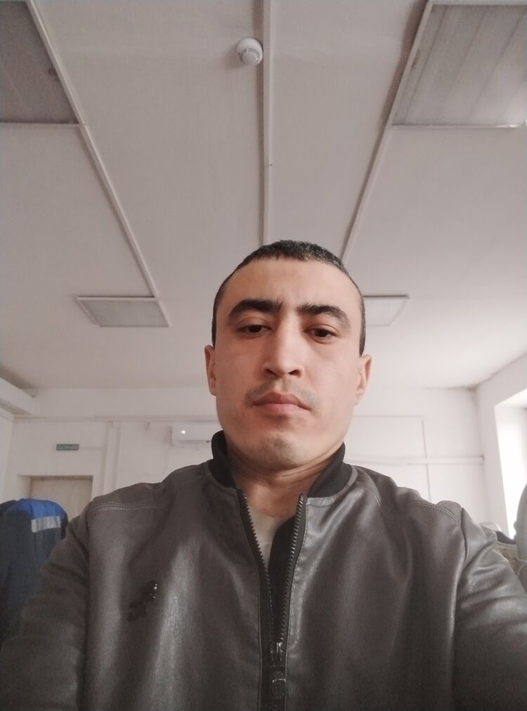  31672358  , 31 ,    