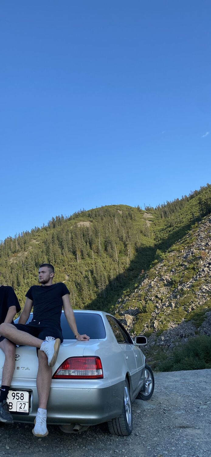  29363778  , 24 ,    --