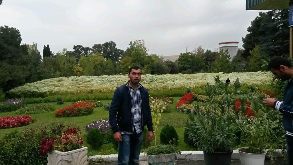 ���� 7224848 ������� �����, 36 ���, ���� ���������� � ��������