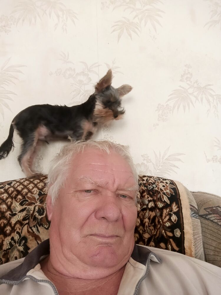 ���� 55760178 ������� �������, 72 ����, ���� ���������� � ��������