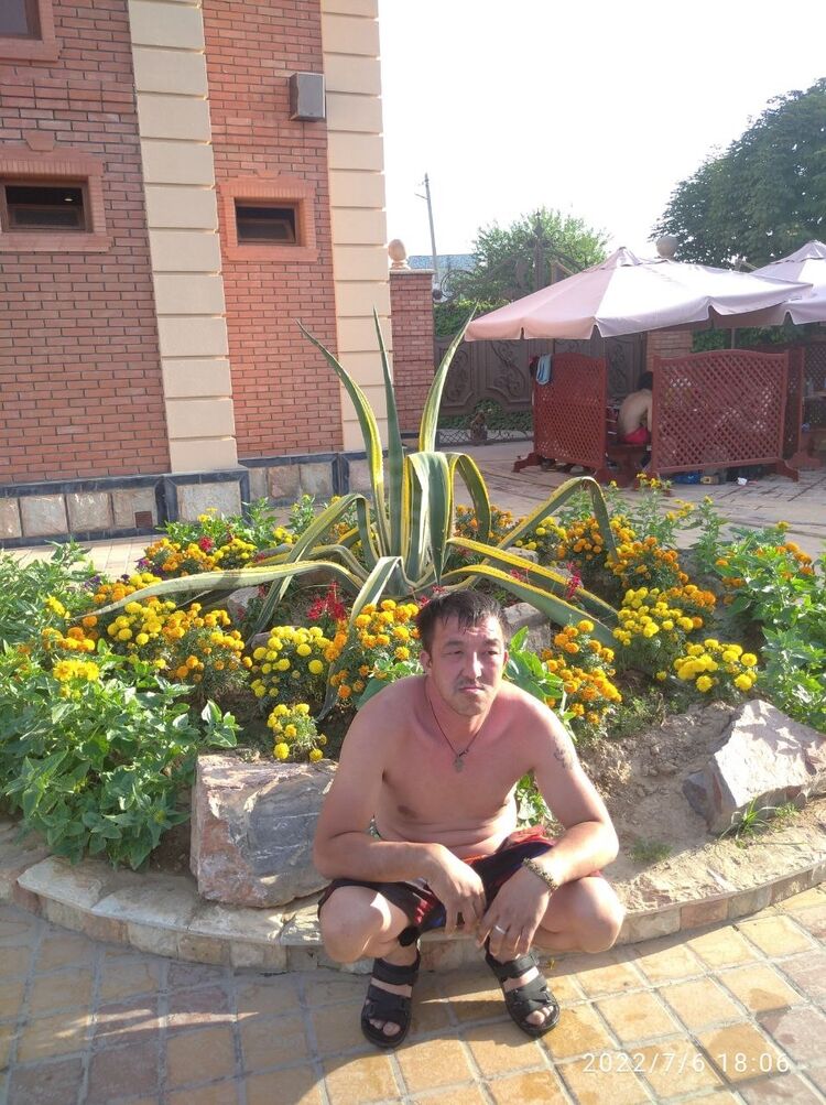 ���� 27666198 ������� ����, 40 ���, ���� ���������� � ��������