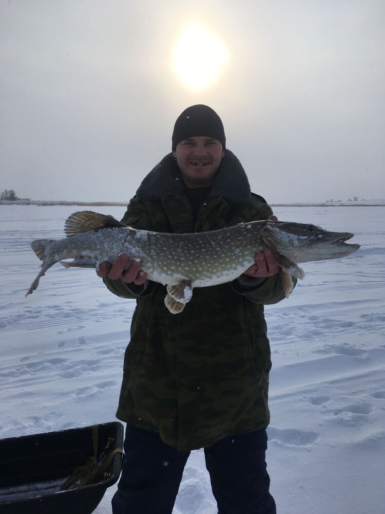 ���������� ������������, ���� ������� �������, 39 ���, ������������ ��� ������, ����� � ���������