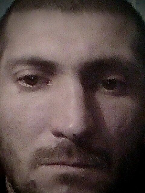 ���� 31957078 ������� ���������, 37 ���, ���� ���������� � �����