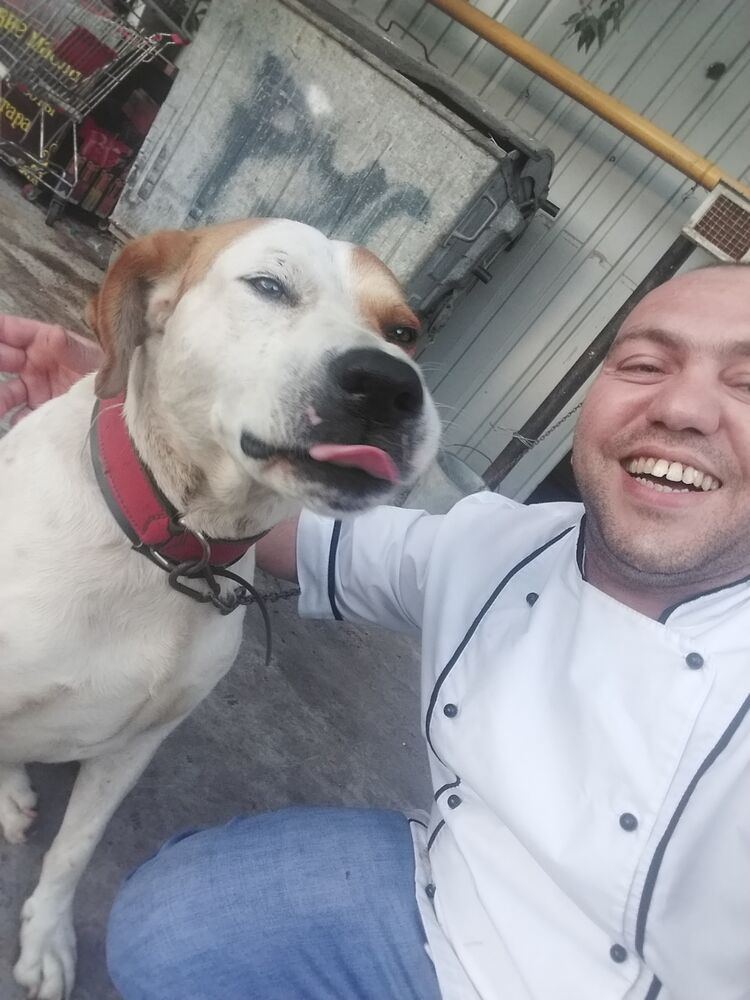 ���������� �����, ���� ������� ����, 35 ���, ������������ ��� ������, ����� � ���������, ���������