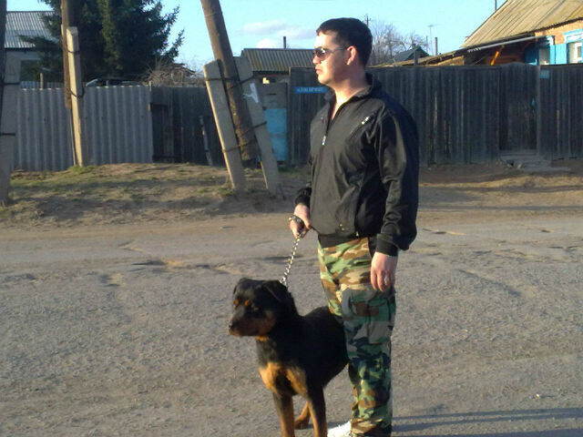 ���������� ������, ���� ������� �����, 38 ���, ������������ ��� ������, ����� � ���������, c�������� ���������