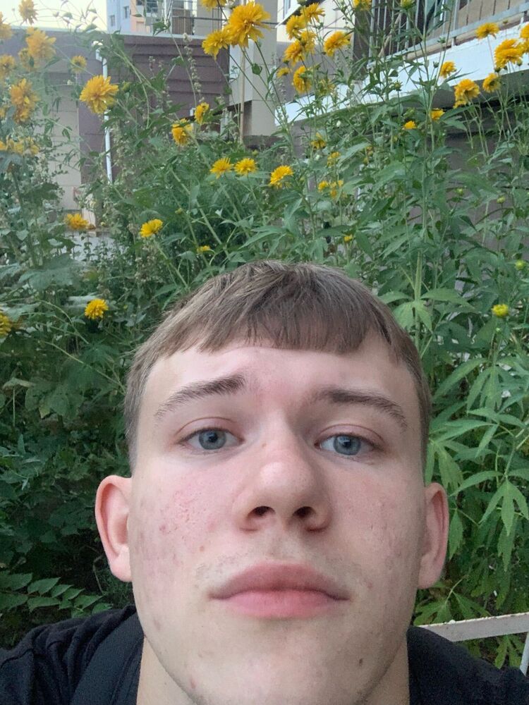  53273138  , 21 ,    