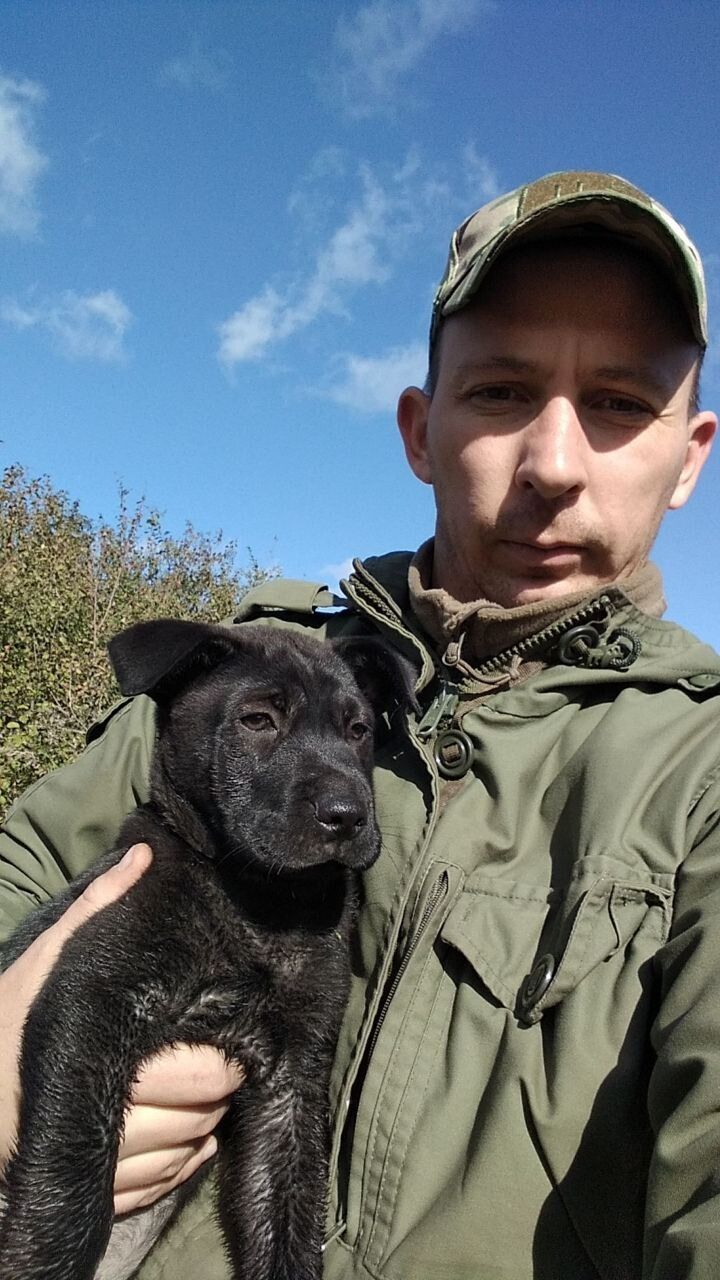 ���� 49877238 ������� ���������, 38 ���, ���� ���������� � ������