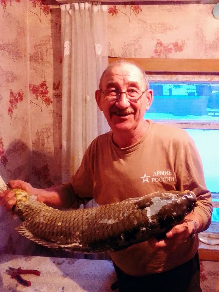  ,   , 62 ,   ,   