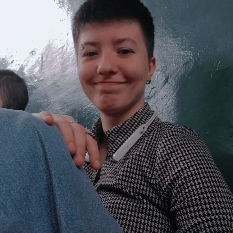  33649358  , 21 ,    --