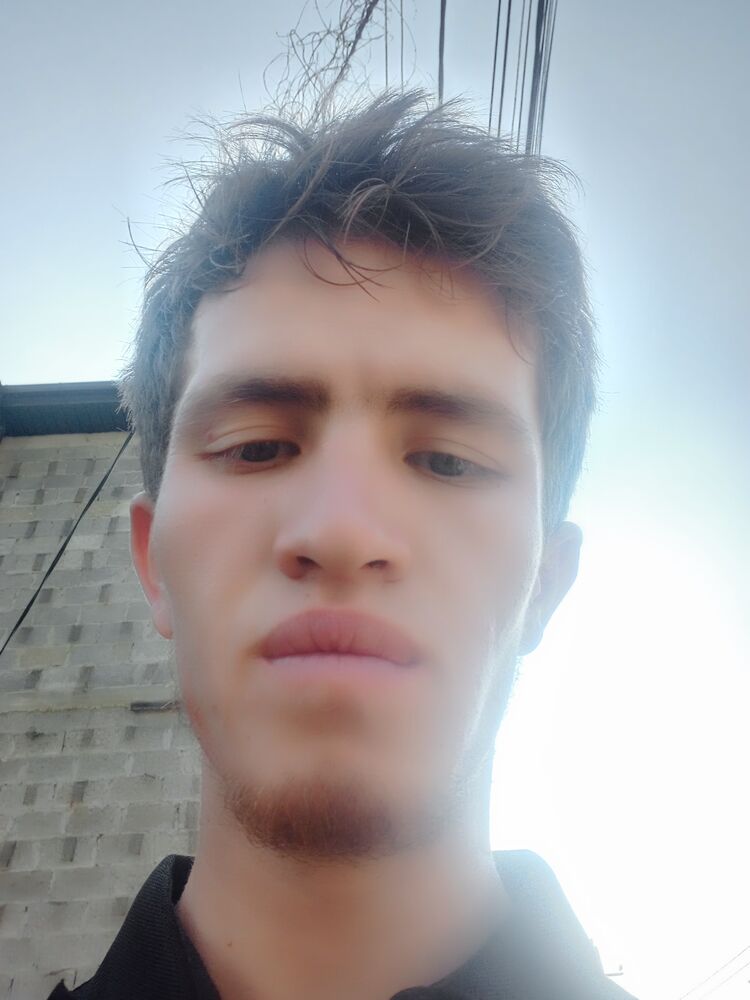  45462208  , 22 ,    --