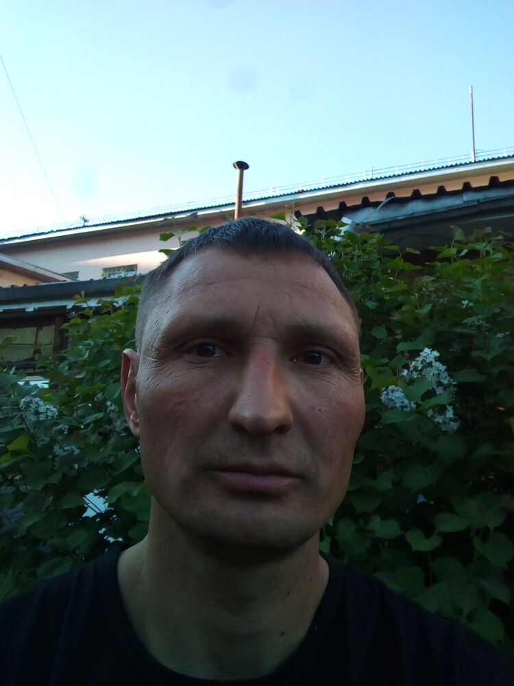  23114398  , 41 ,    