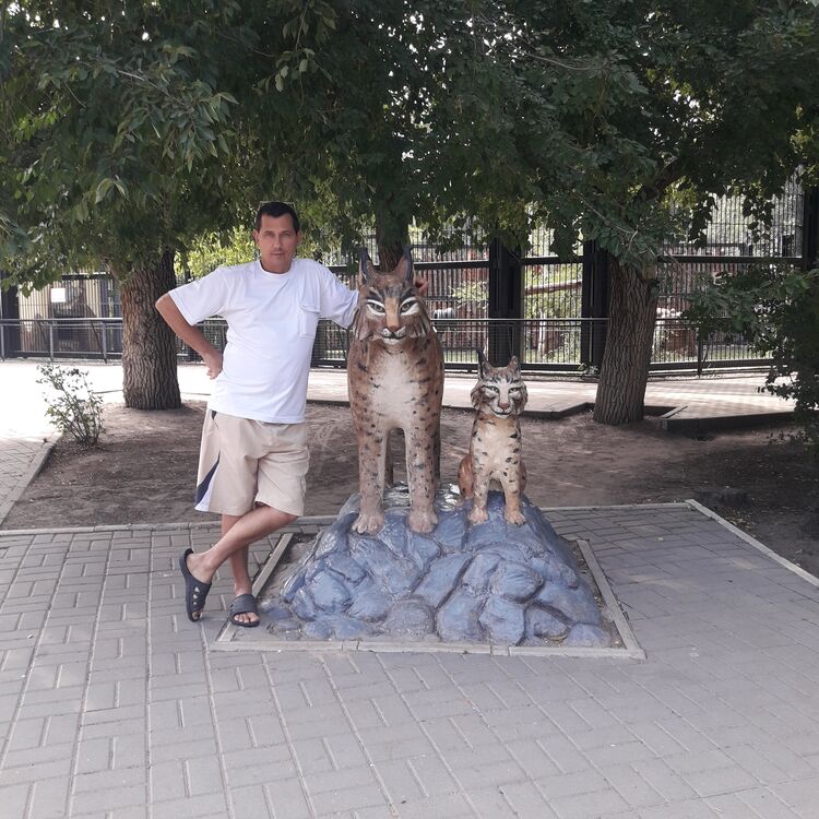 ���� 45403528 ������� �������, 46 ���, ���� ���������� � ��������