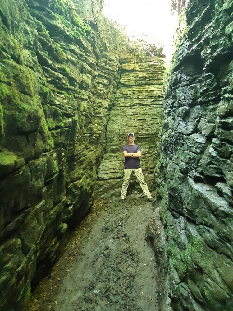 ���� 20365018 ������� ����, 40 ���, ���� ���������� � ������������