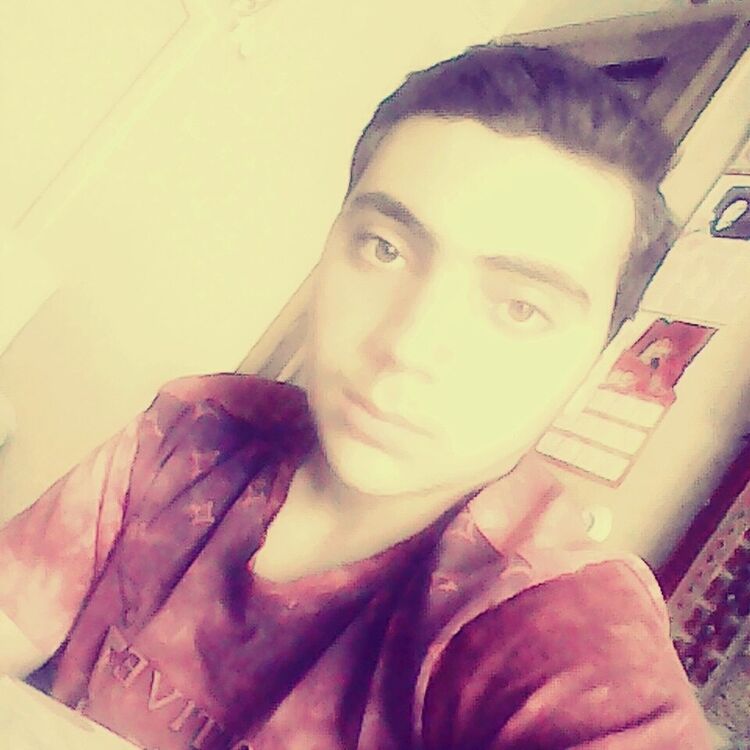  15067828  , 26 ,    