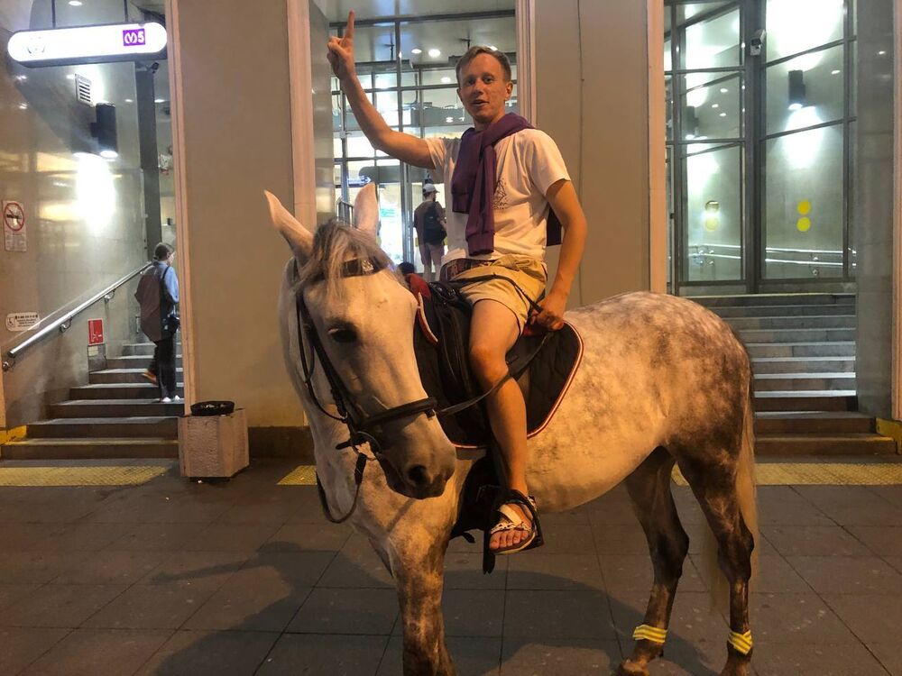  44443218  , 33 ,    -