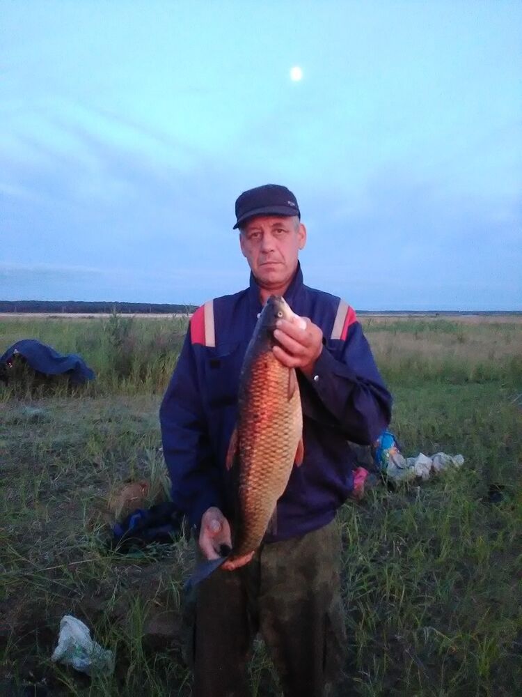  ,   , 58 ,   