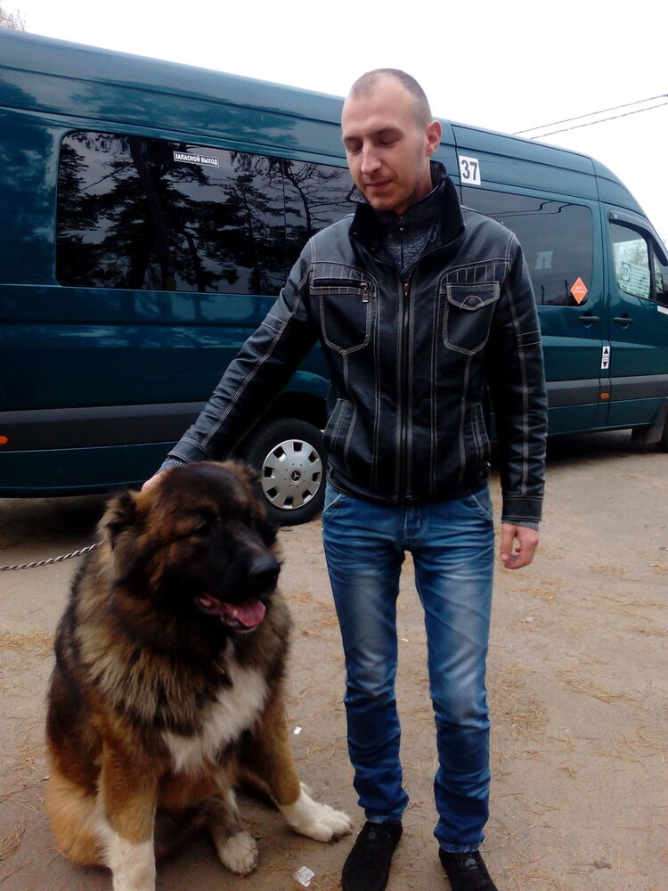 ���������� ������, ���� ������� ����, 37 ���, ������������ ��� ������, ����� � ���������, c�������� ���������