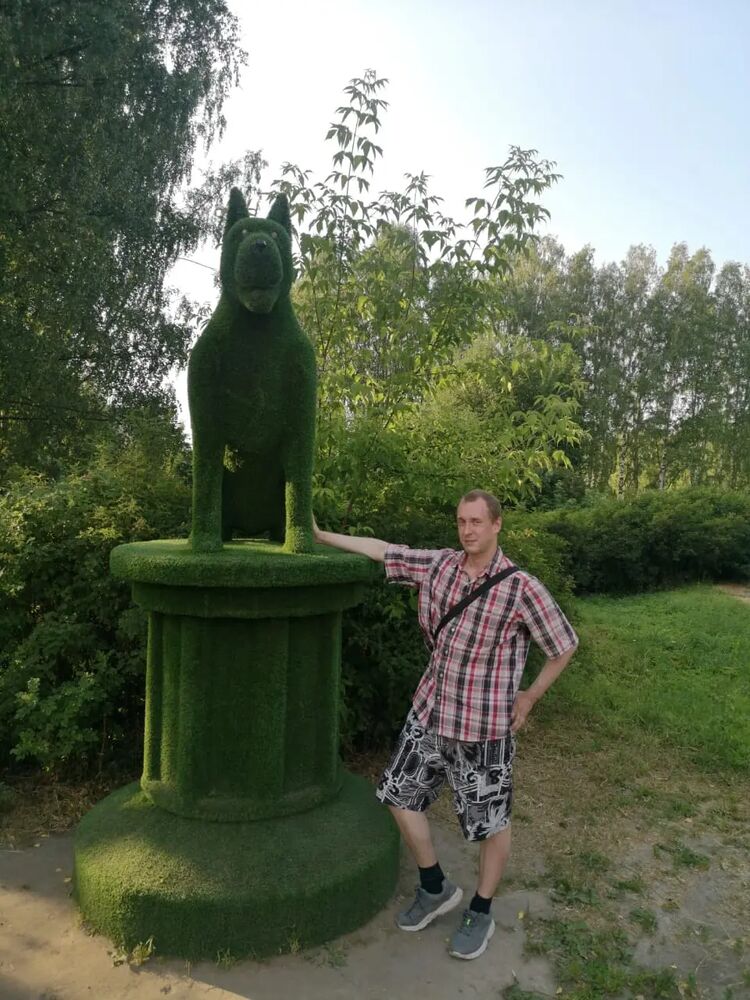 ���� 29454638 ������� Dmitry, 37 ���, ���� ���������� � �����-����������