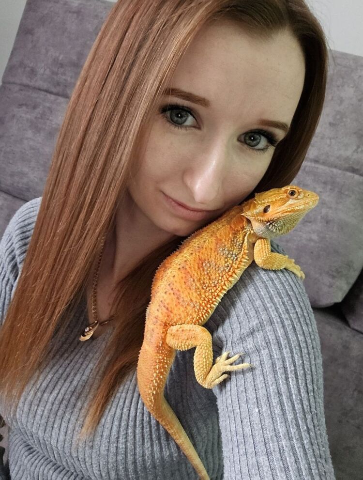 ���������� ���������, ���� ������� �����, 28 ���, ������������ ��� ������, ����� � ���������, ���������