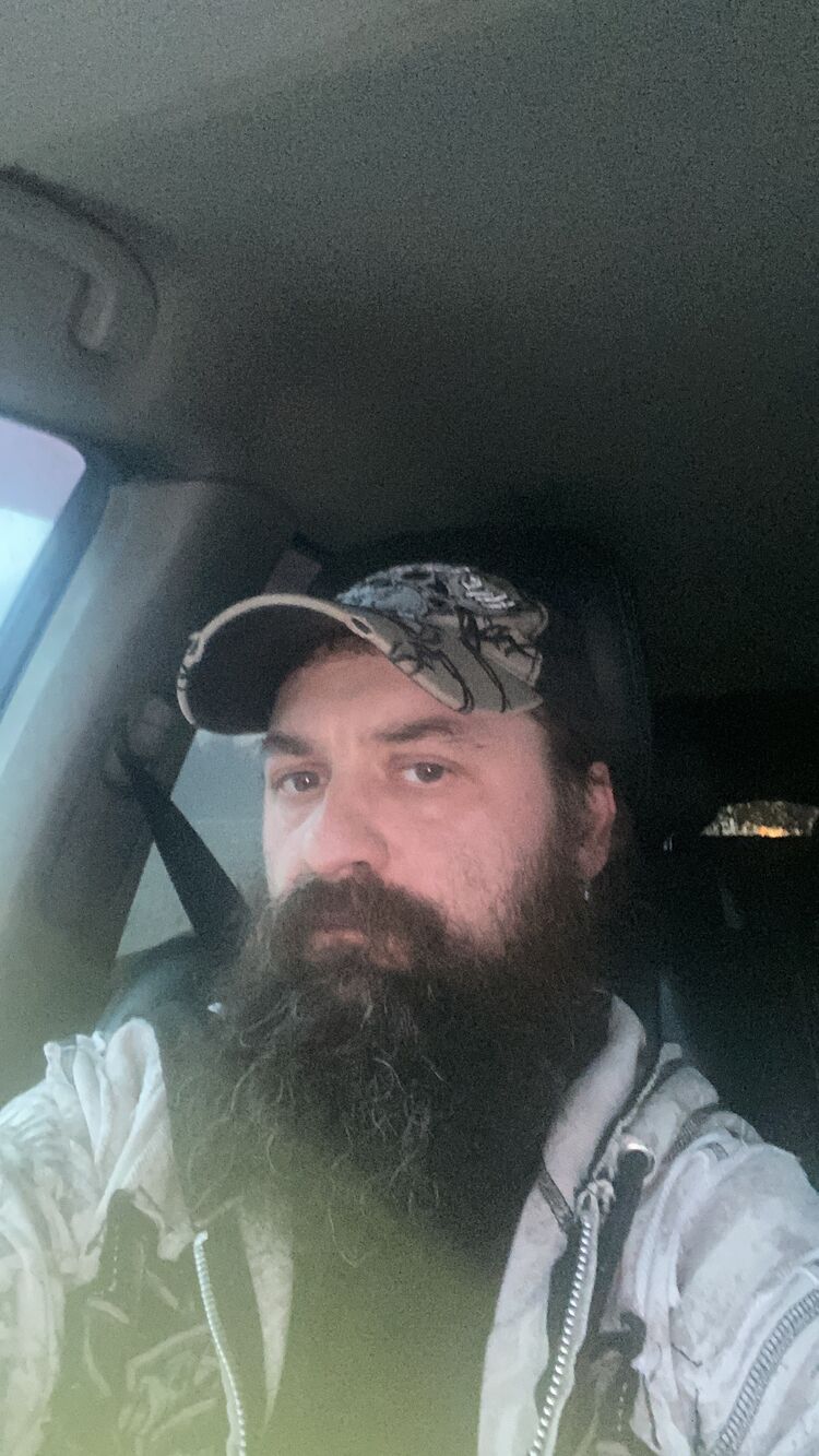 ���� 56097878 ������� ���������, 42 ����, ���� ���������� � ������