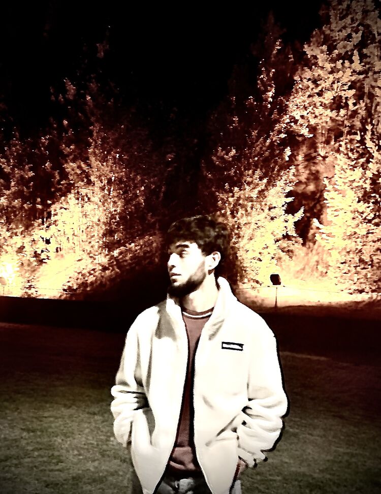  53158488  , 22 ,    -