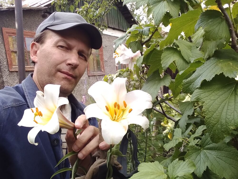  ,   ALEX, 48 ,  