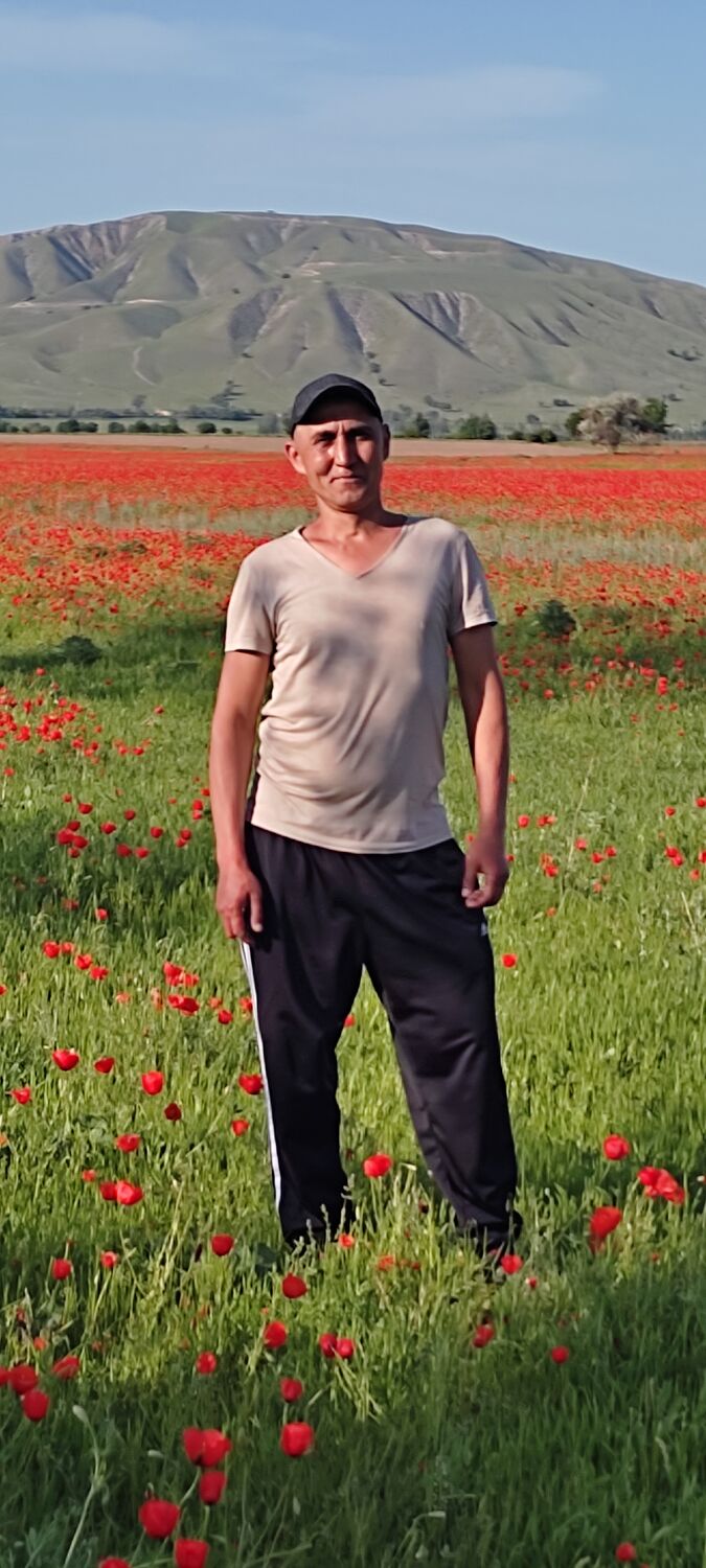  ,   , 47 ,     , 
