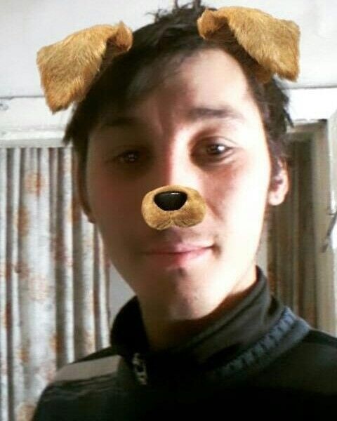 ���������� ������, ���� ������� ������, 29 ���, ������������ ��� ������, ����� � ���������, c�������� ���������