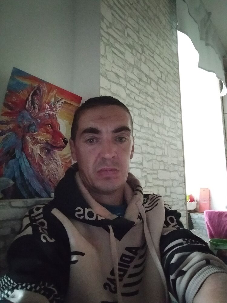  46563998  , 43 ,    