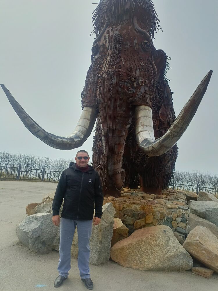 ���� 56270388 ������� �������, 49 ���, ���� ���������� � ��������