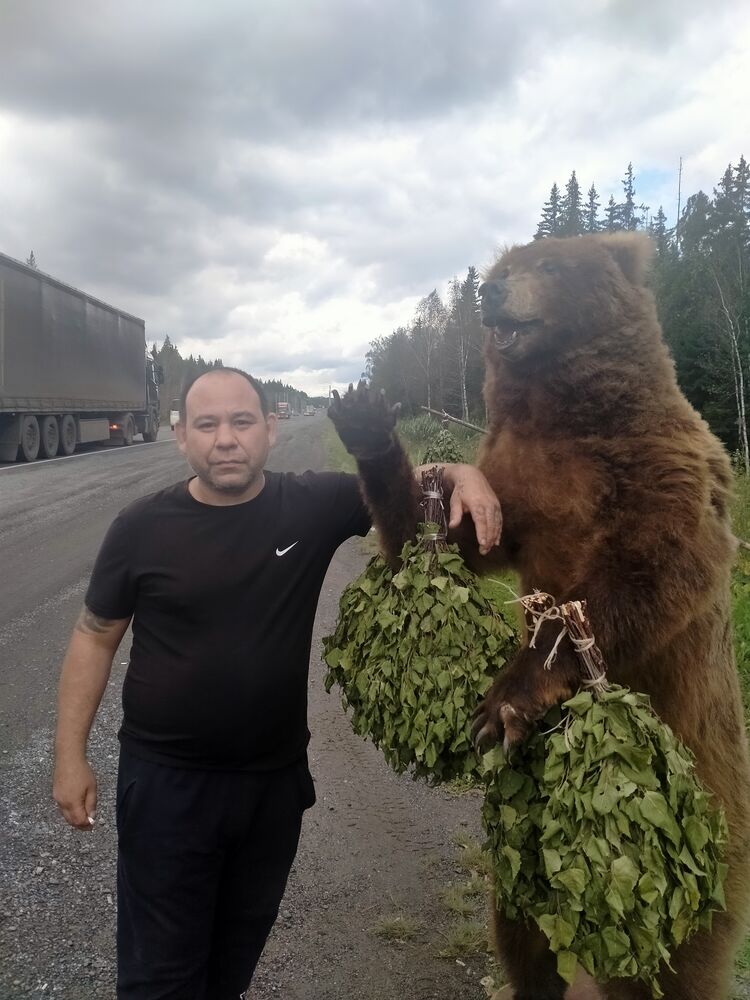 ���� 45754908 ������� ����, 43 ����, ���� ���������� � ����������