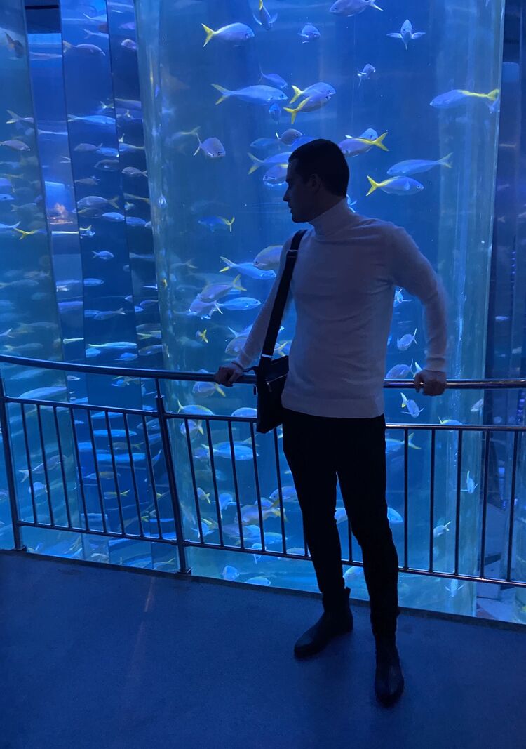 ���� 29602288 ������� �������, 32 ����, ���� ���������� � �����-����������