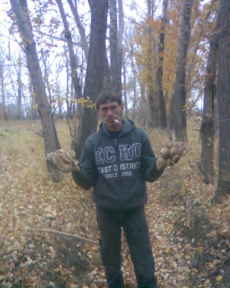 ���� 4706608 ������� ���������, 42 ����, ���� ���������� � ���������