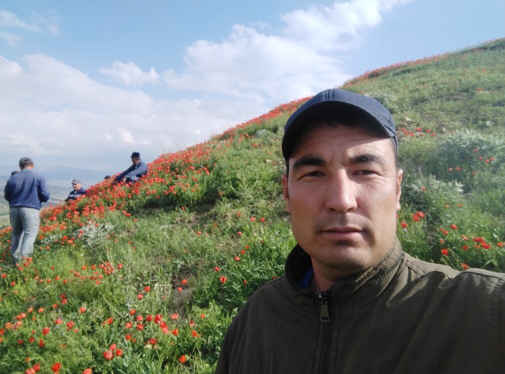  -,   Jasurbek, 34 ,   ,   , c , 
