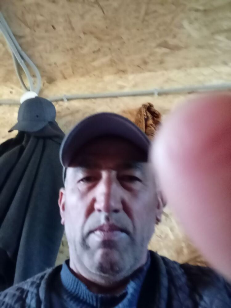  ,   , 49 ,   ,   