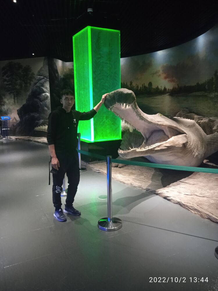 ���� 39956168 ������� ����, 35 ���, ���� ���������� � ����-����������