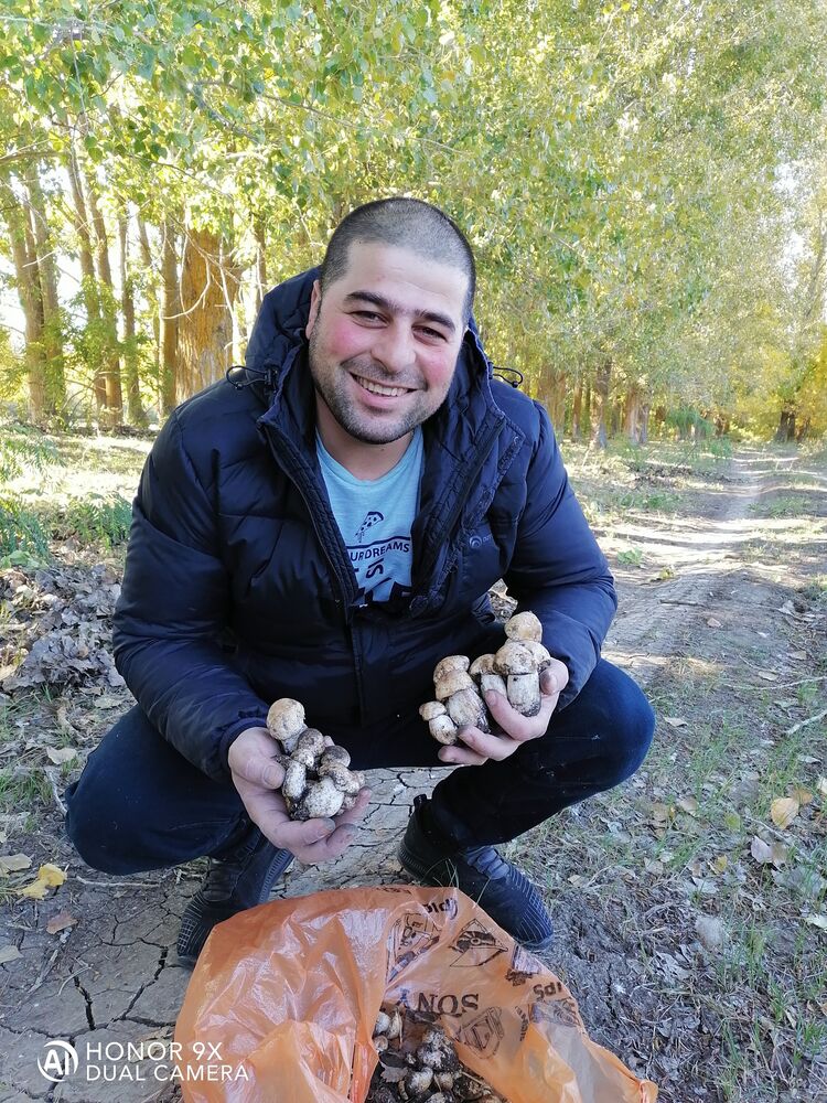 ���� 25660338 ������� ������, 38 ���, ���� ���������� � ��������