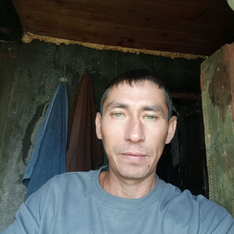  44258978  , 36 ,    