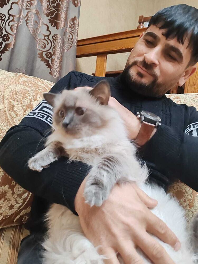  40281868  Ramin, 38 ,    --