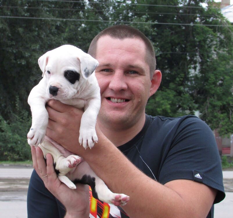 ���������� �����������, ���� ������� ����, 37 ���, ������������ ��� c�������� ���������