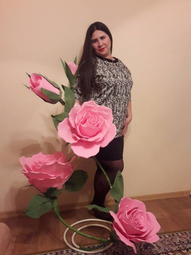  15577648  , 37 ,    