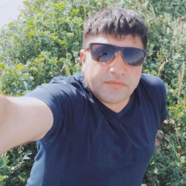 ���� 31117228 ������� Zaur, 40 ���, ���� ���������� � �����������