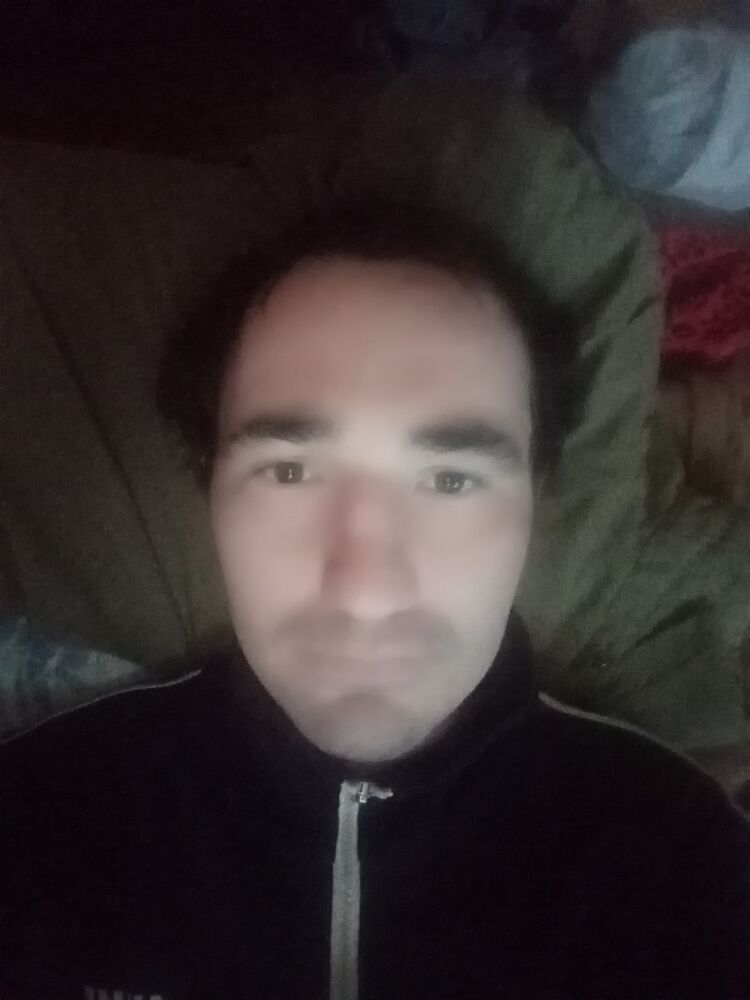  31366808  , 32 ,    