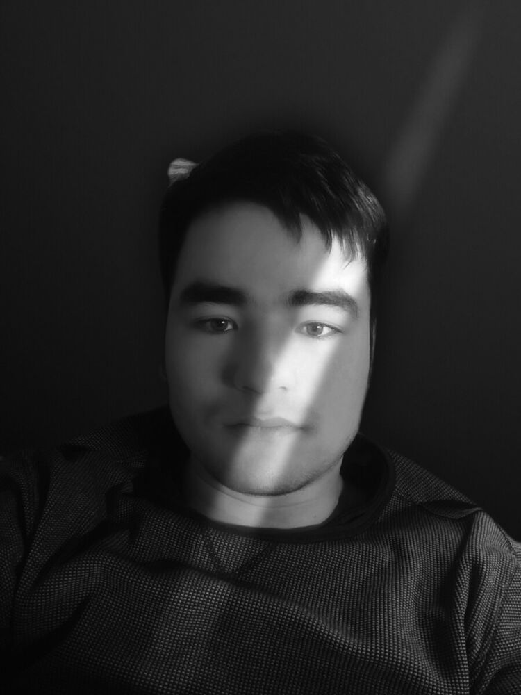  22203228  , 29 ,    