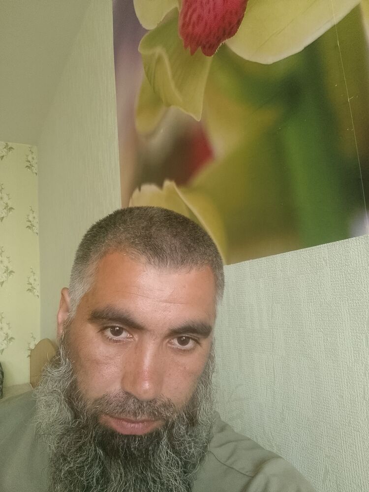  44237578  , 38 ,    