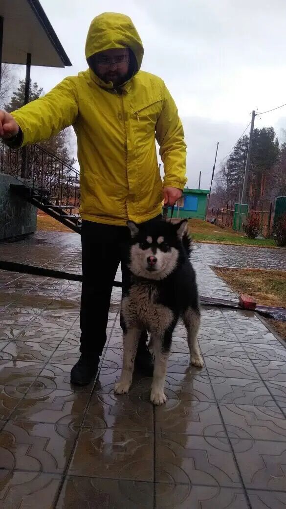  51651608  , 34 ,    -