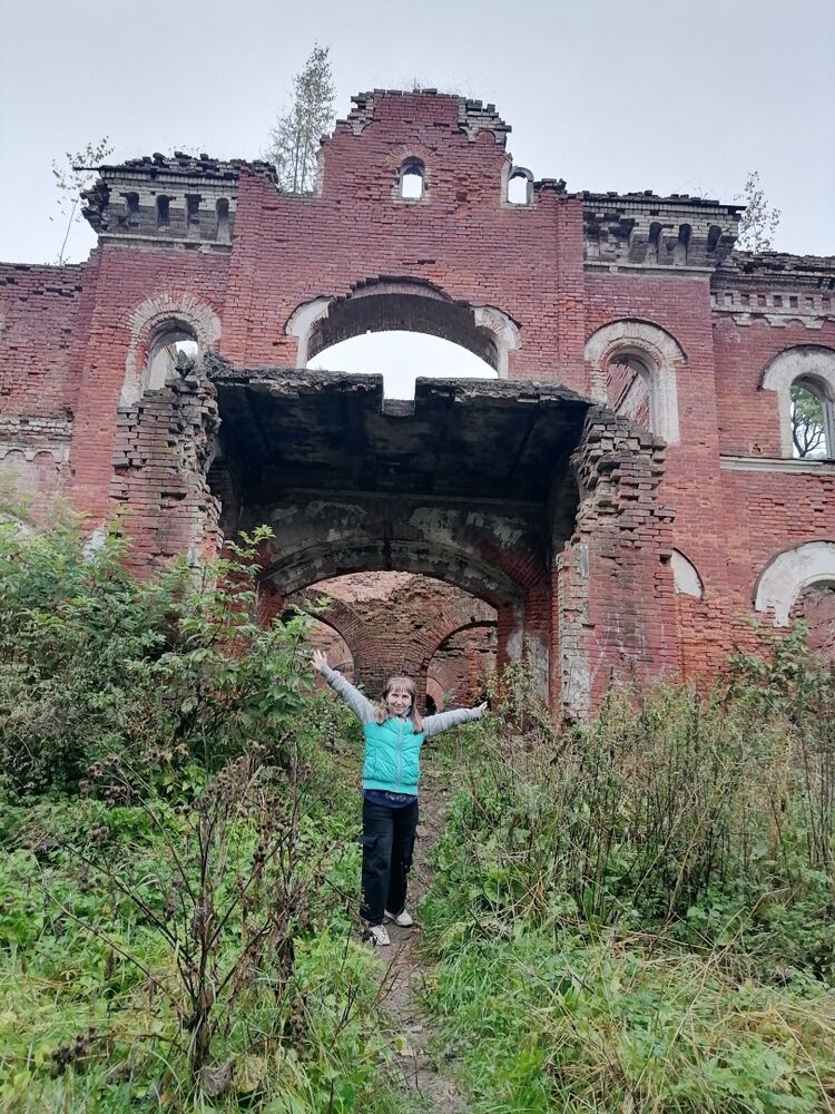  54108808  , 50 ,    -