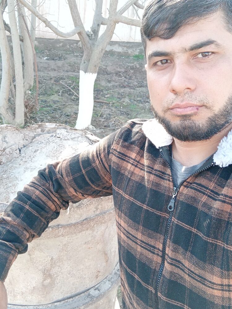  45320828  , 33 ,    