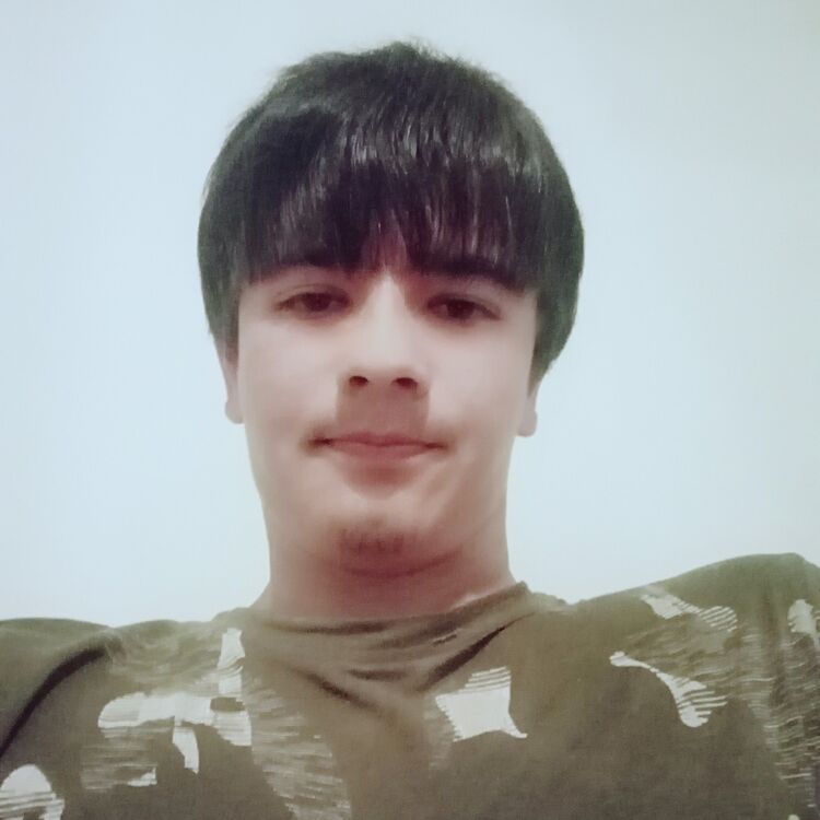 ���� 19513378 ������� ����, 29 ���, ���� ���������� � �������