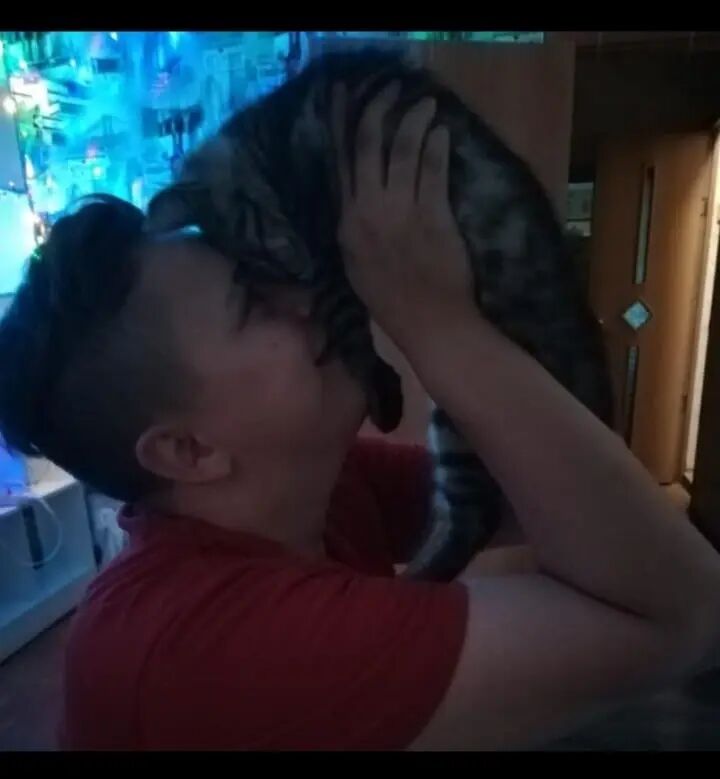 ���������� �����������, ���� ������� ����������, 30 ���, ������������ ��� ������, ����� � ���������, c�������� ���������, ���������